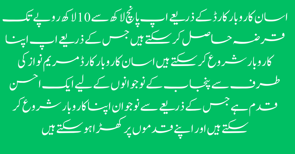 About Asaan Karobar Card